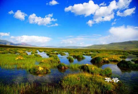 長沙水土保持？湖南省水土保持編制專業(yè)公司_10年專注水土保持報告的編制。